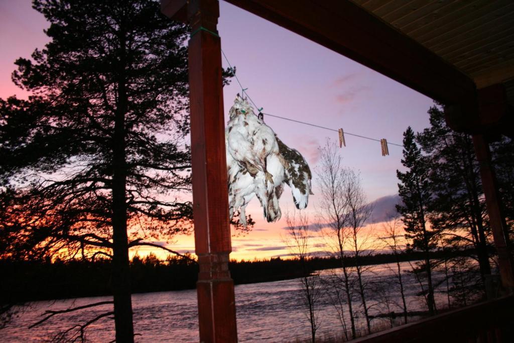 Luongasloma Chalets Palojoensuu 客房 照片